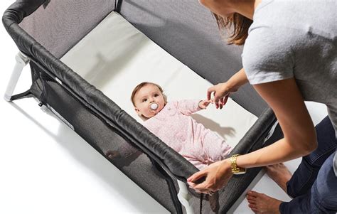 Guava bassinet. Things To Know About Guava bassinet. 